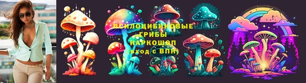 амф Алексин