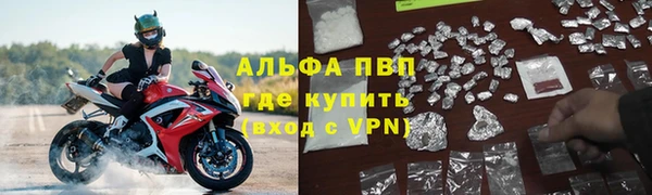 амф Алексин
