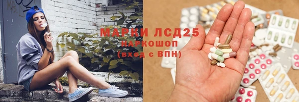 PSILOCYBIN Гусиноозёрск