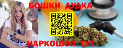 мдпв Новодвинск