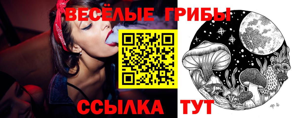 Галлюциногенные грибы ЛСД  наркота  Элиста  Вход с VPN 