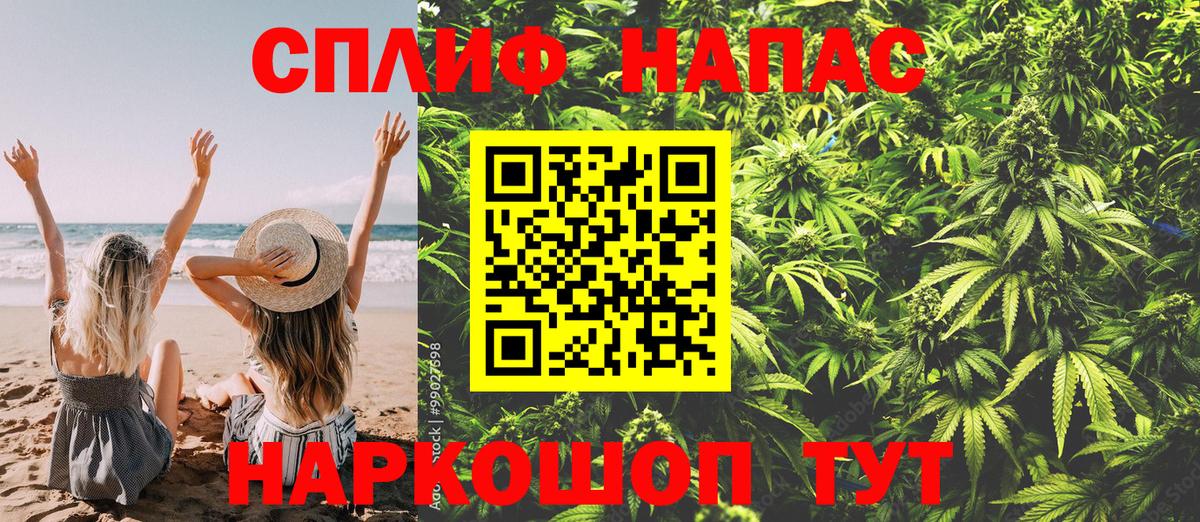 Конопля Элиста